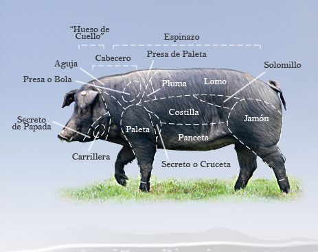 100% Paleta Iberico De Bellota Sliced Cured Meat