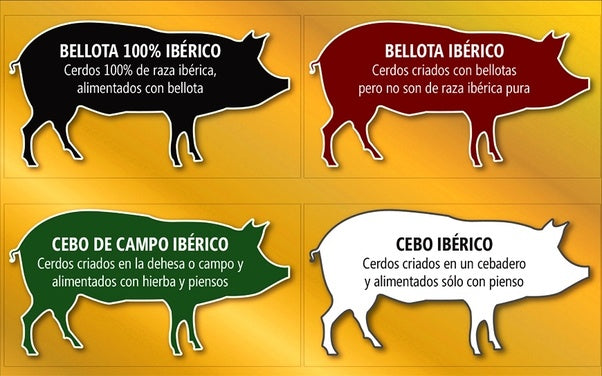 Jamon Iberico Cured Meat Cut